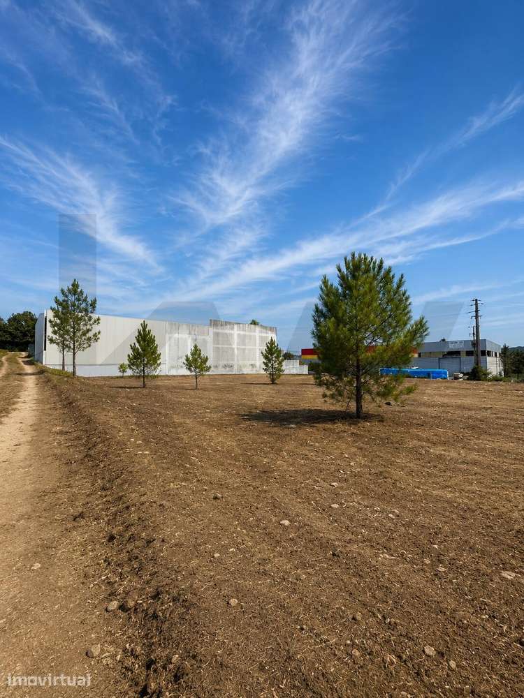 Terreno Industrial | 2.040 m2 | Parque Industrial de Abiul | Pombal - Grande imagem: 3/4