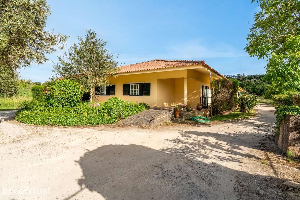 Herdade 1.4 ha, Mucifal, Sintra - Grande imagem: 4/21