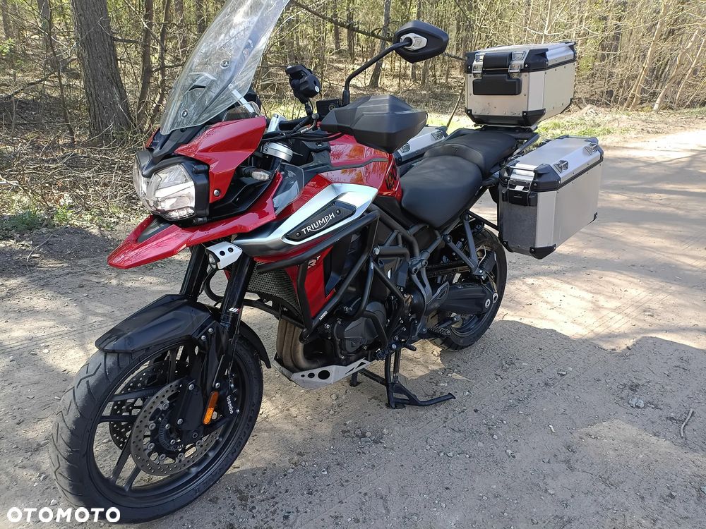 Triumph Tiger - 1