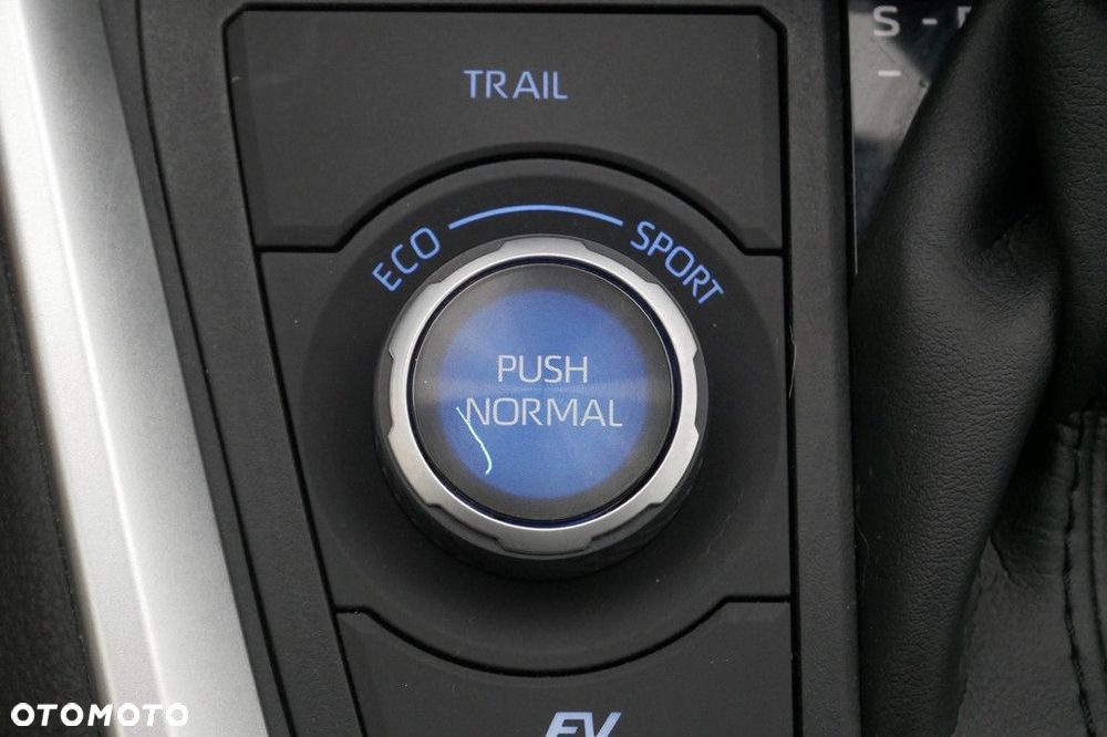 Toyota RAV4 2.5 Hybrid Selection 4x4 - 20