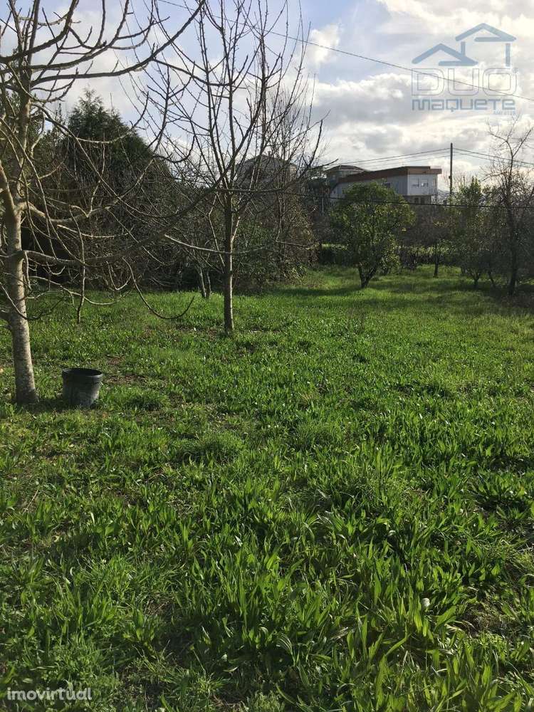 Terreno em Souselo - Cinfães - Grande imagem: 3/7