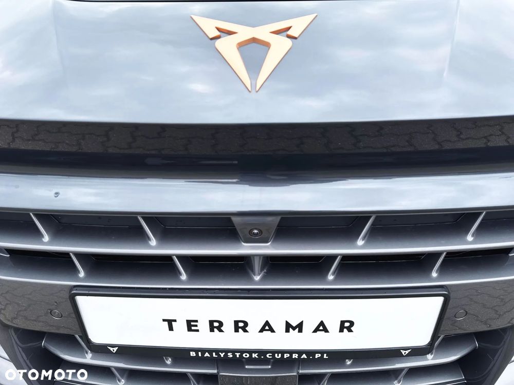 Cupra Terramar - 21