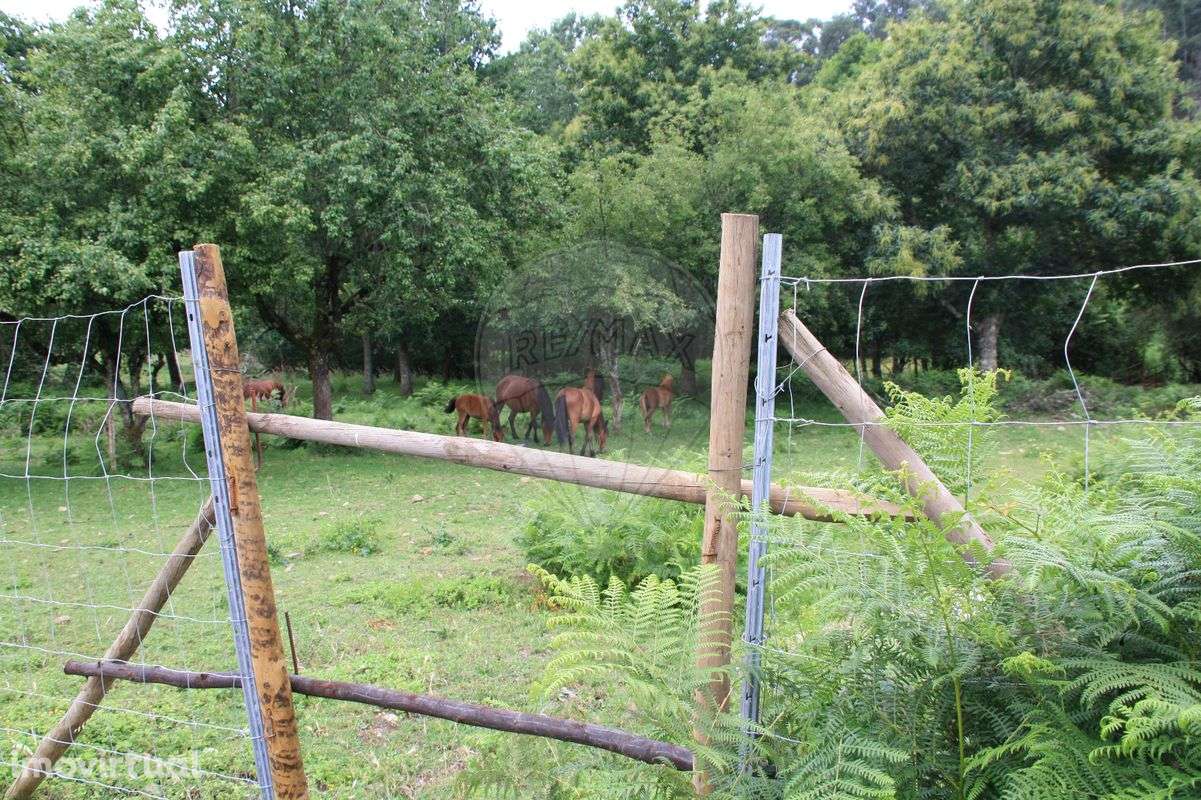 Terreno  para venda - Grande imagem: 5/6