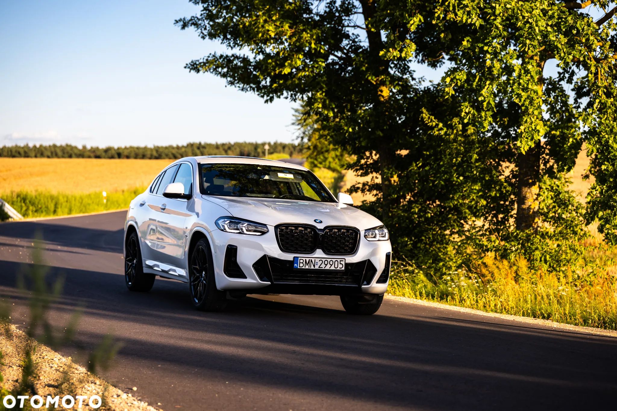 BMW X4 xDrive30i M Sport X - 1