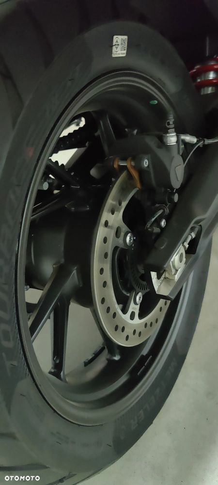 Triumph Tiger - 10