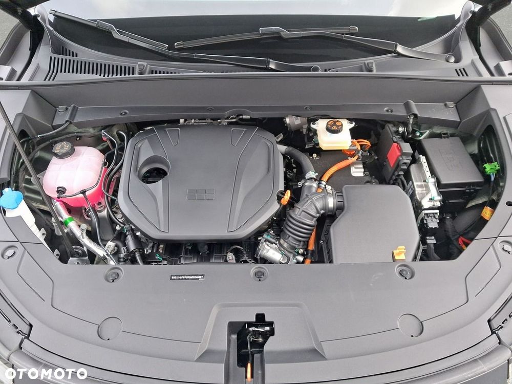 Geely Starray - 10