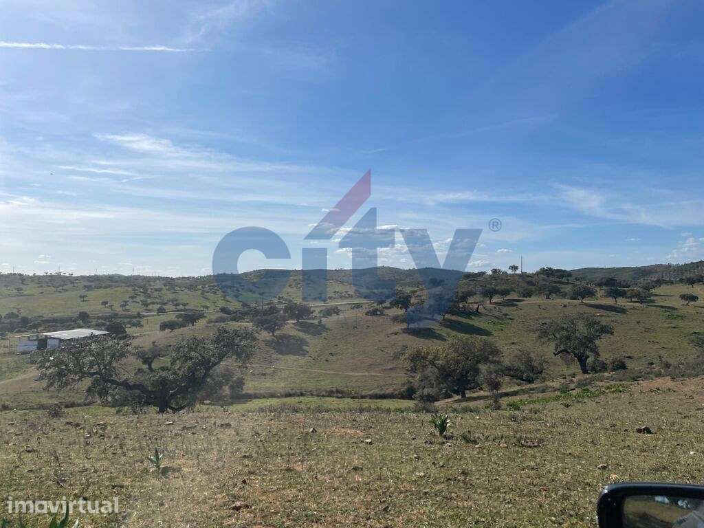 Herdade de Monte Branco, Figueira e Malhada Velha - Grande imagem: 5/41