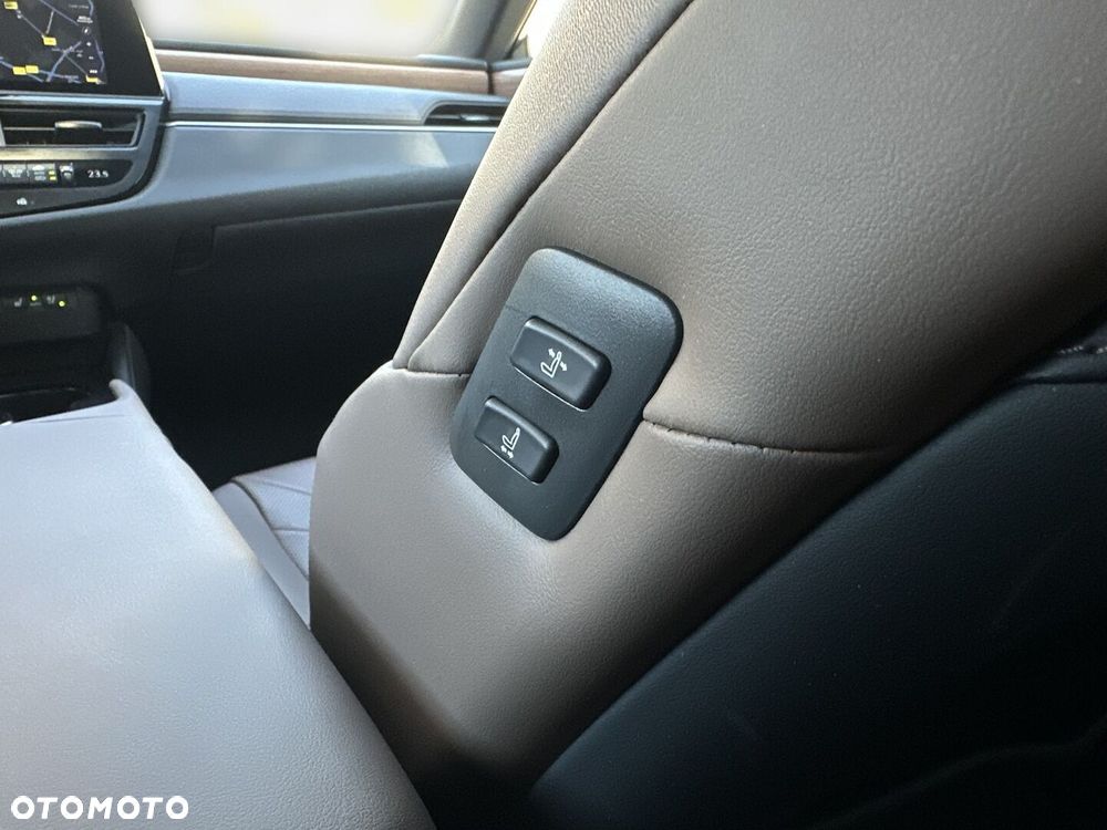 Lexus ES 300h Omotenashi - 26