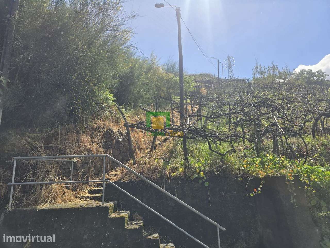 Terreno para Cultivo - Grande imagem: 2/7