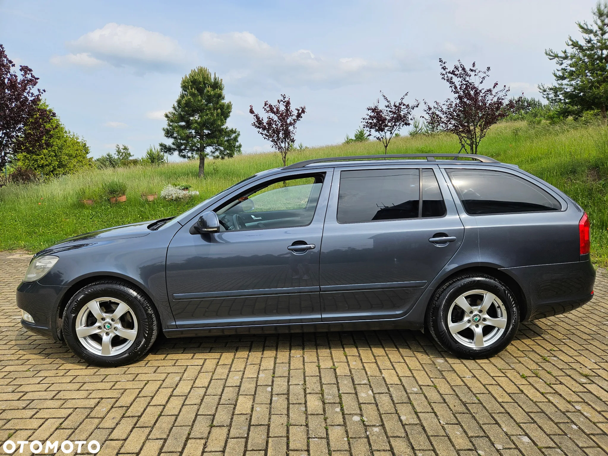 Skoda Octavia 1.9 TDI Classic - 12