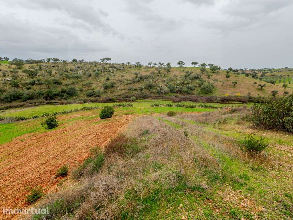 Herdade com setenta e dois hectares em Vila Nova de são Bento - Grande imagem: 2/47