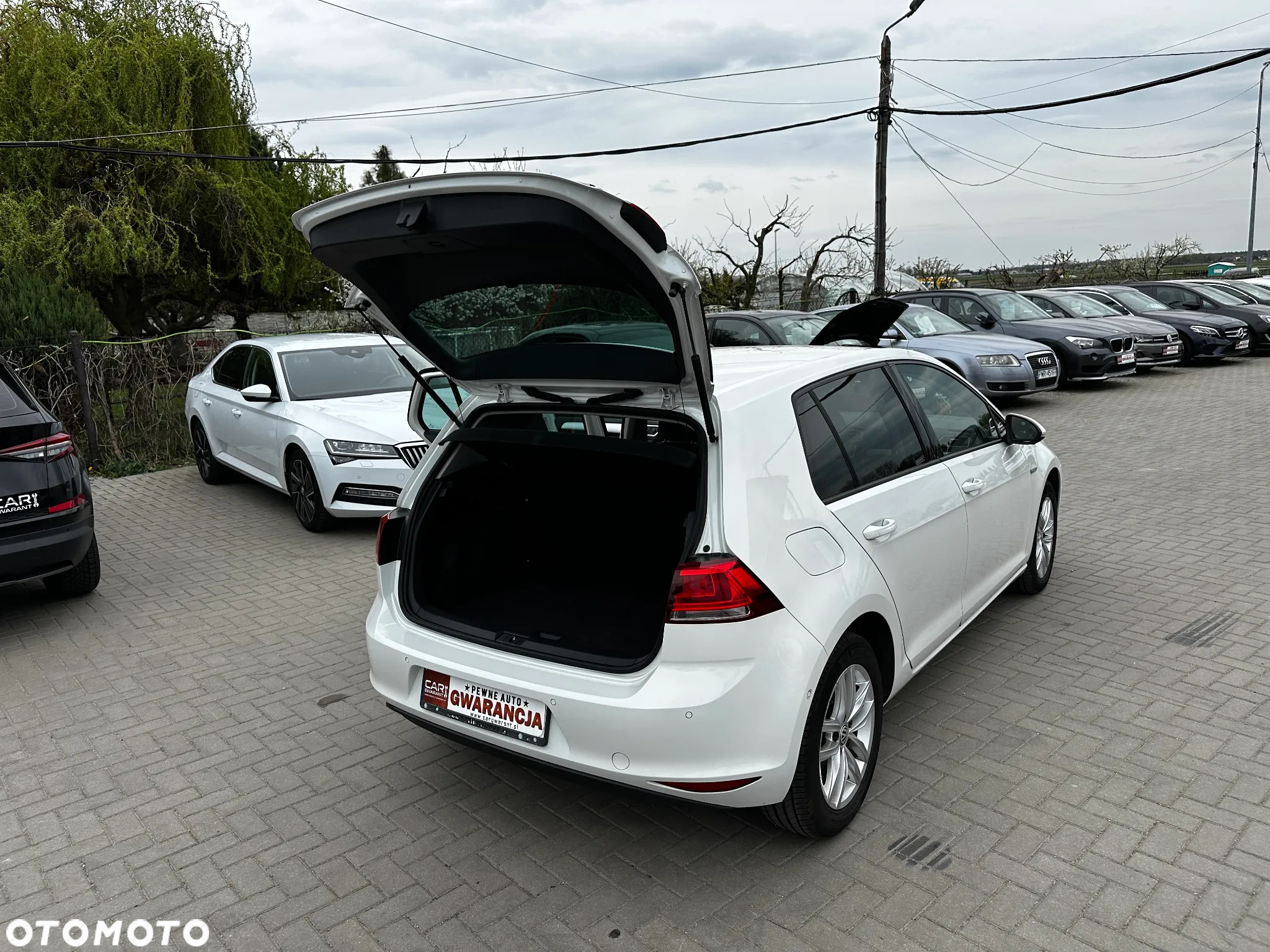 Volkswagen Golf - 27
