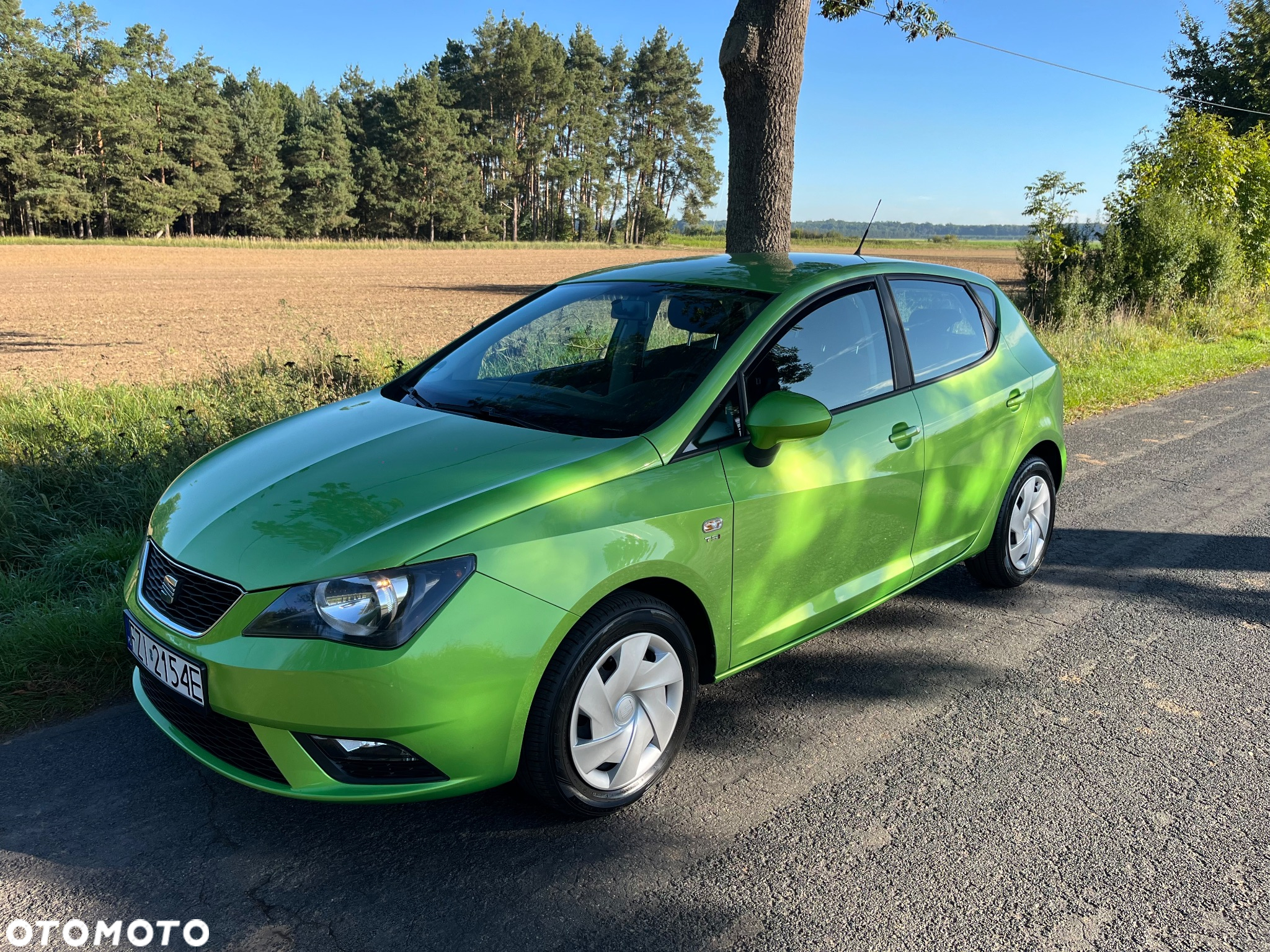 Seat Ibiza 1.2 TSI (Ecomotive) Start & Stop SUN - 11