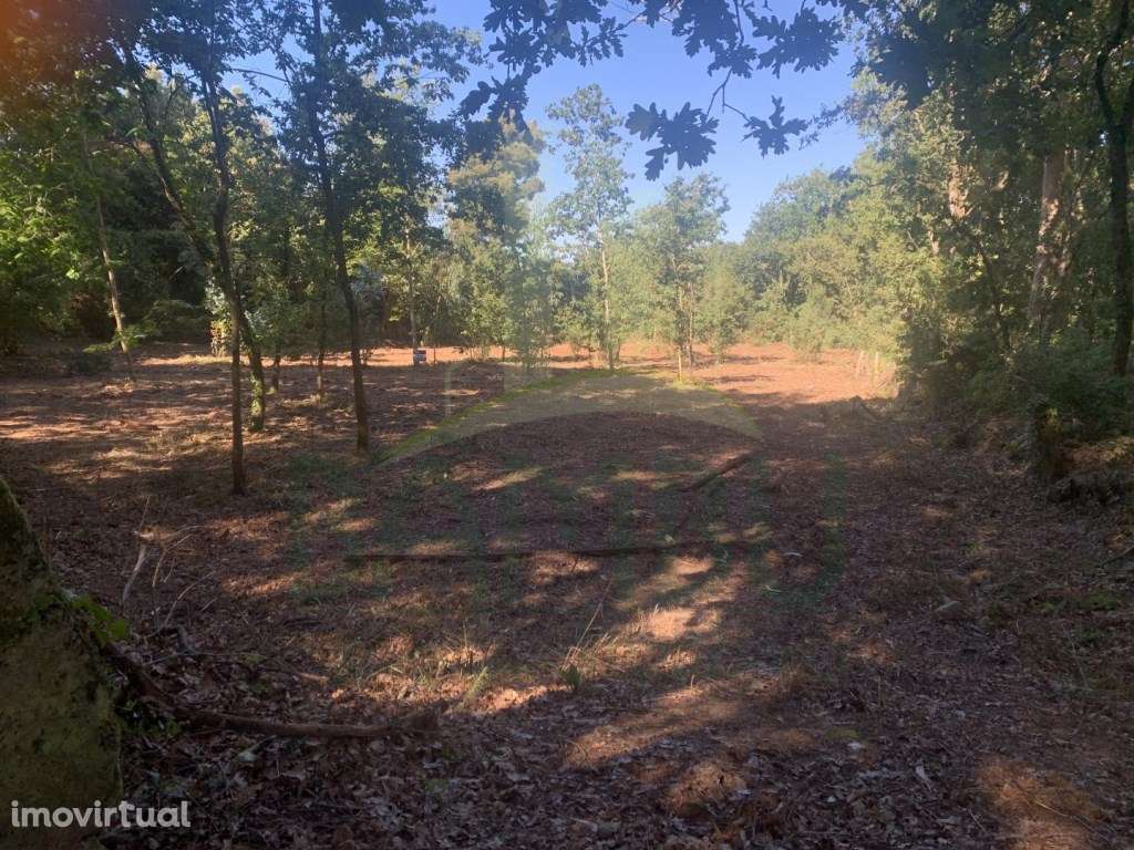 Terreno para construção - Grande imagem: 3/9