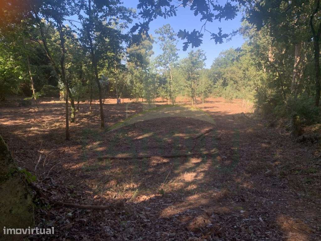 Terreno para construção - Grande imagem: 3/9