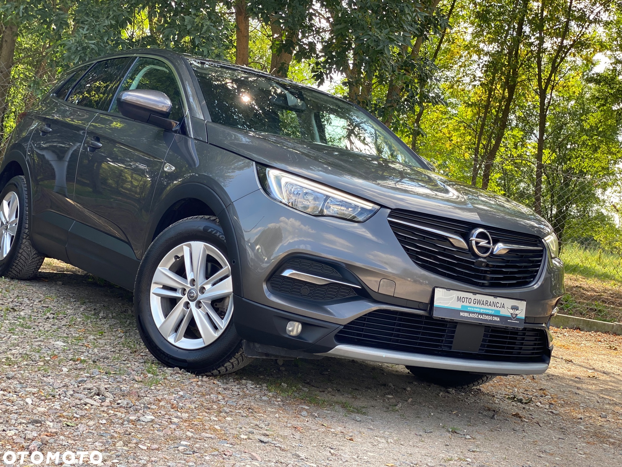 Opel Grandland X 1.6 CDTI Innovation S&S - 2