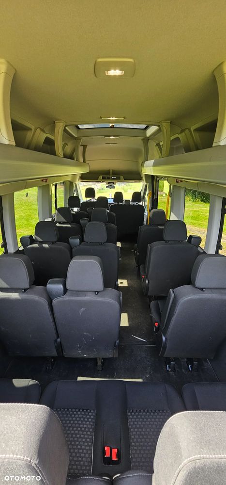 Ford Transit L4H3 RWD Edition - 4