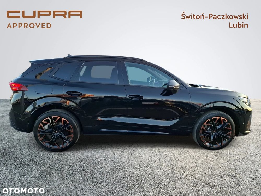 Cupra Terramar - 6