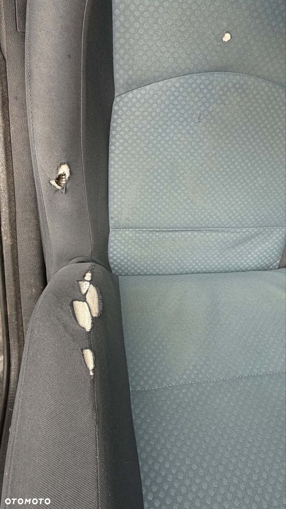 Renault Clio - 5