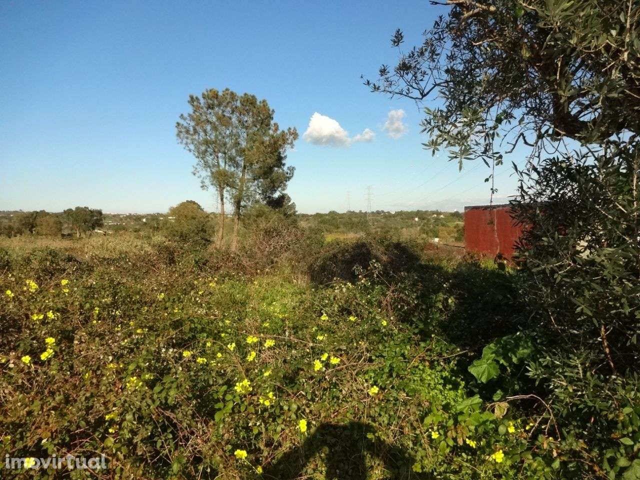Terreno de cultivo - Grande imagem: 2/5