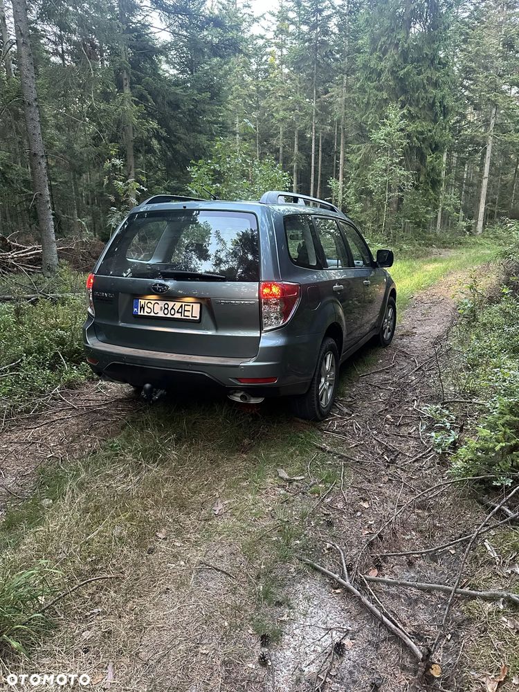 Subaru Forester - 5