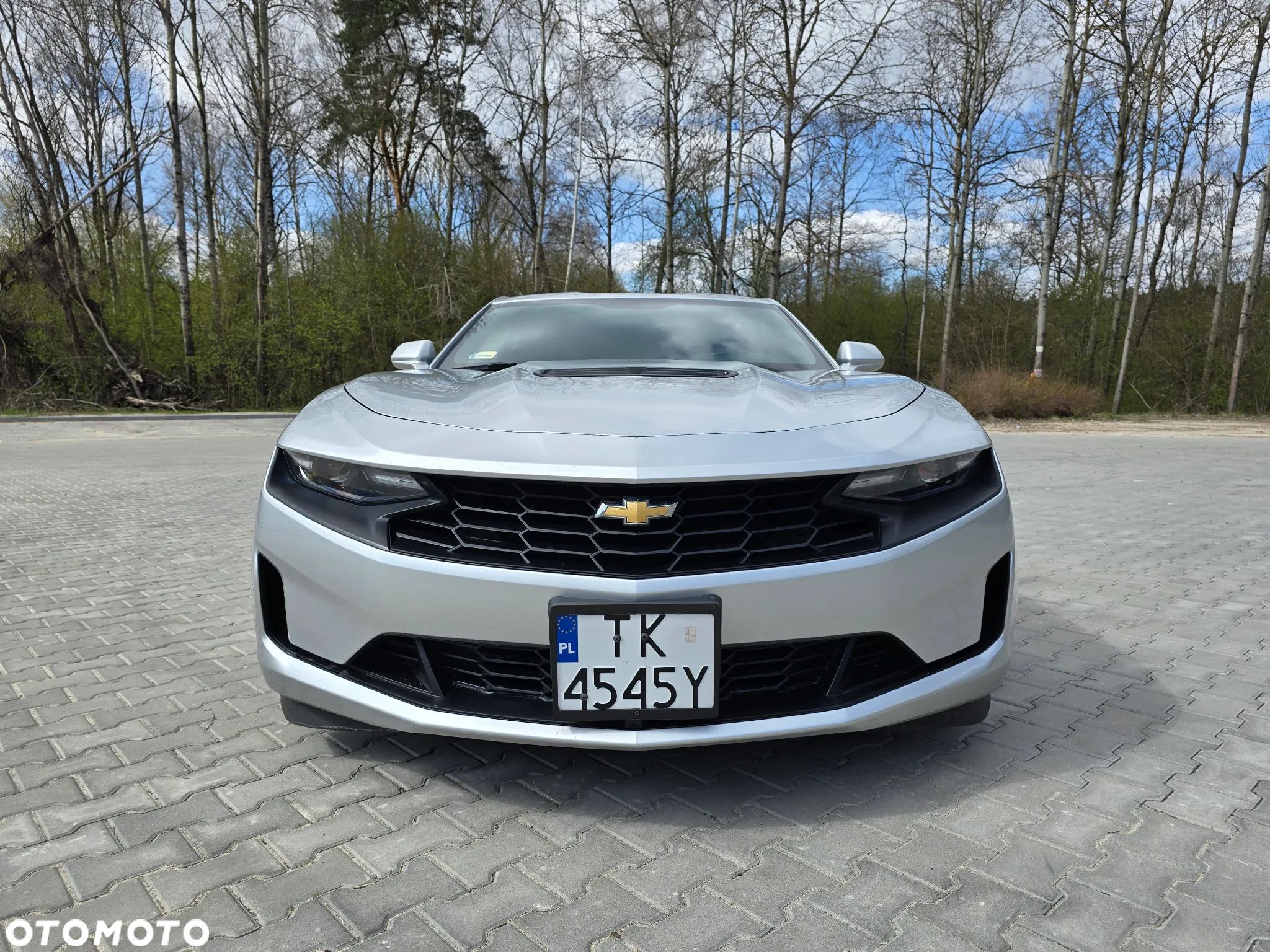 Chevrolet Camaro Coupe 2.0 - 1