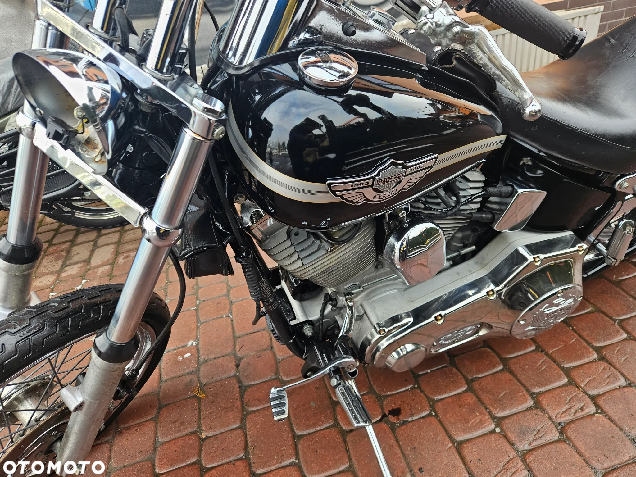 Harley-Davidson Softail Standard - 3