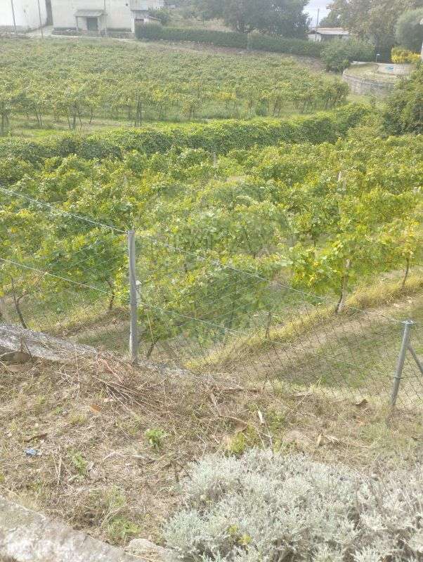 Terreno  para venda - Grande imagem: 4/5
