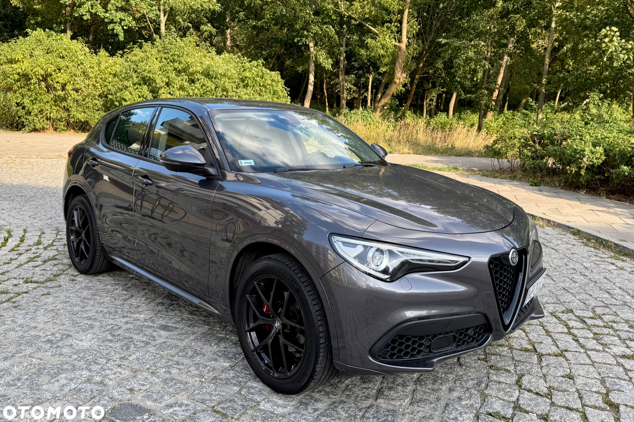 Alfa Romeo Stelvio 2.0 Turbo Veloce Q4 - 2
