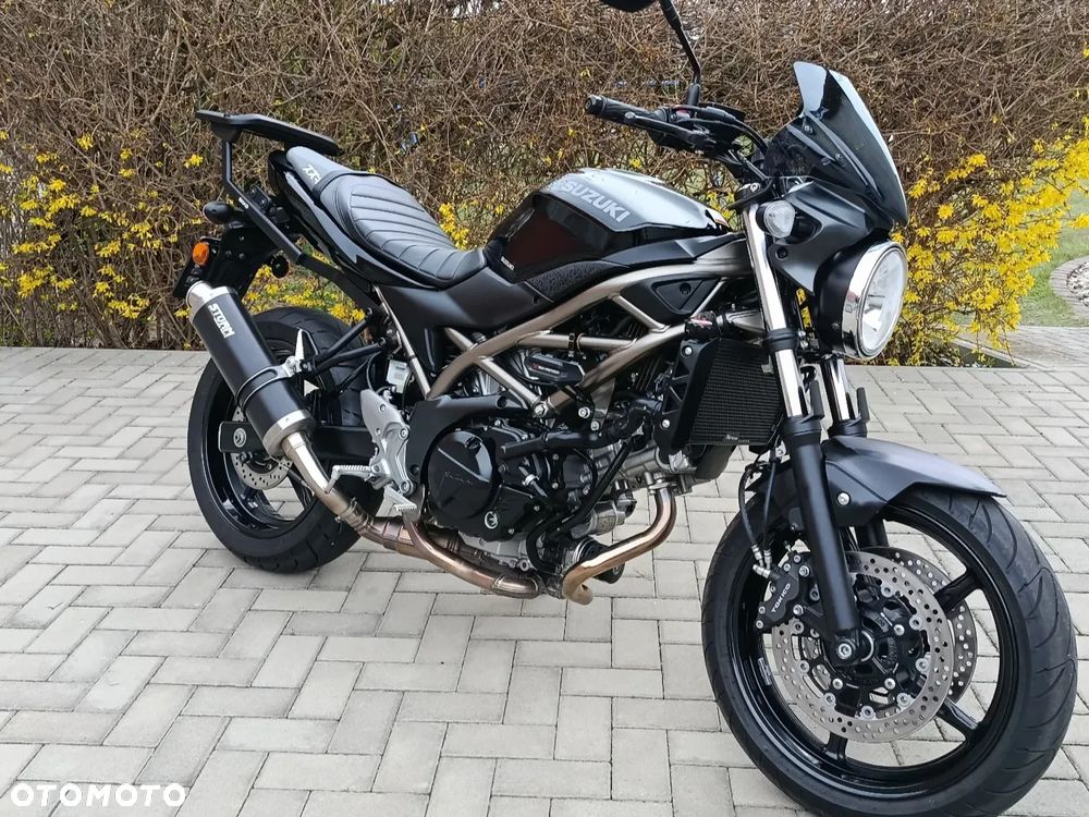 Suzuki SV - 13