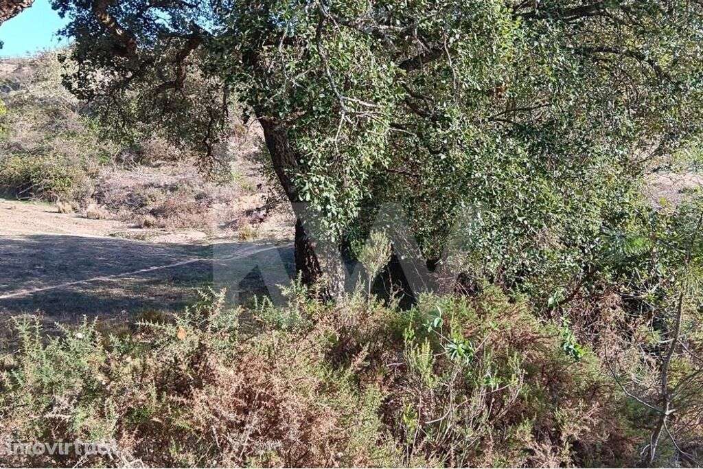 Venda de terreno agrícola com 3 hectares em Jerumelo, Malveira - Grande imagem: 5/14