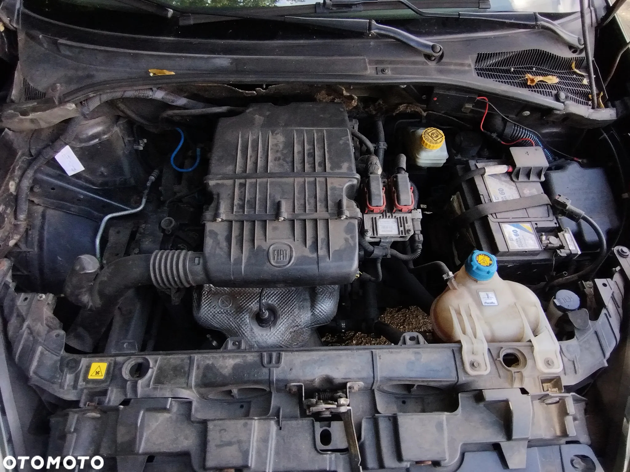 Fiat Punto Evo 1.4 8V Active Euro5 - 12