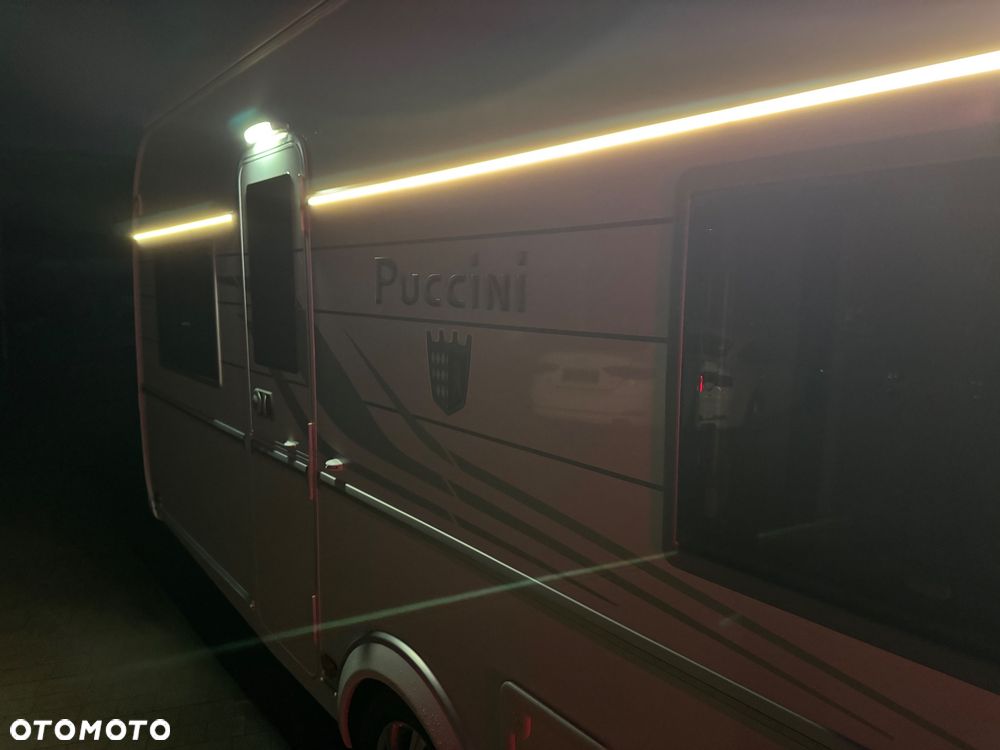 Tabbert Puccini - 19