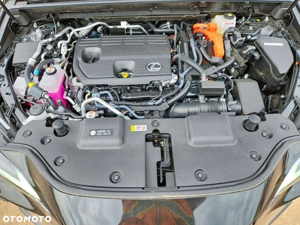 Lexus NX - 8