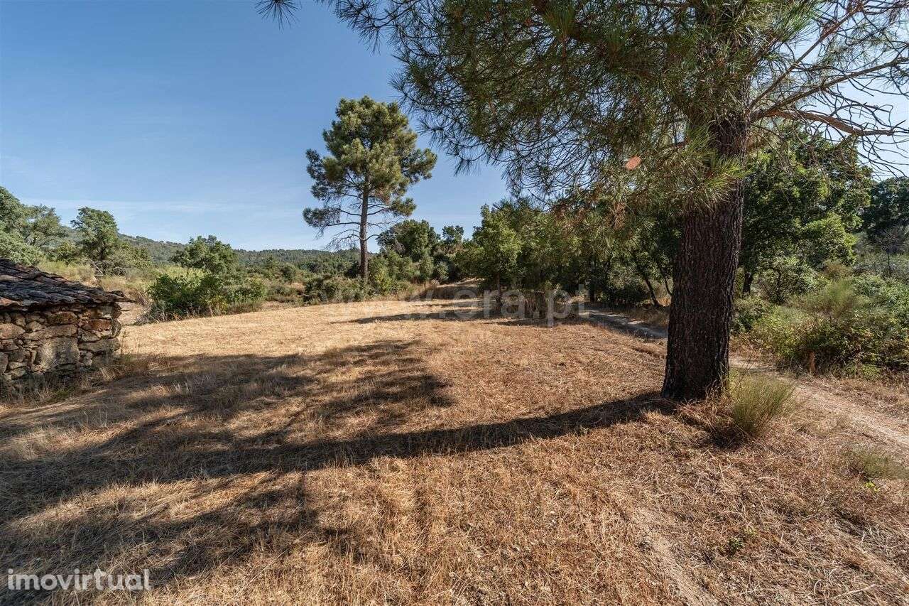 Terreno Rústico / Fundão, Pêro Viseu - Grande imagem: 5/20