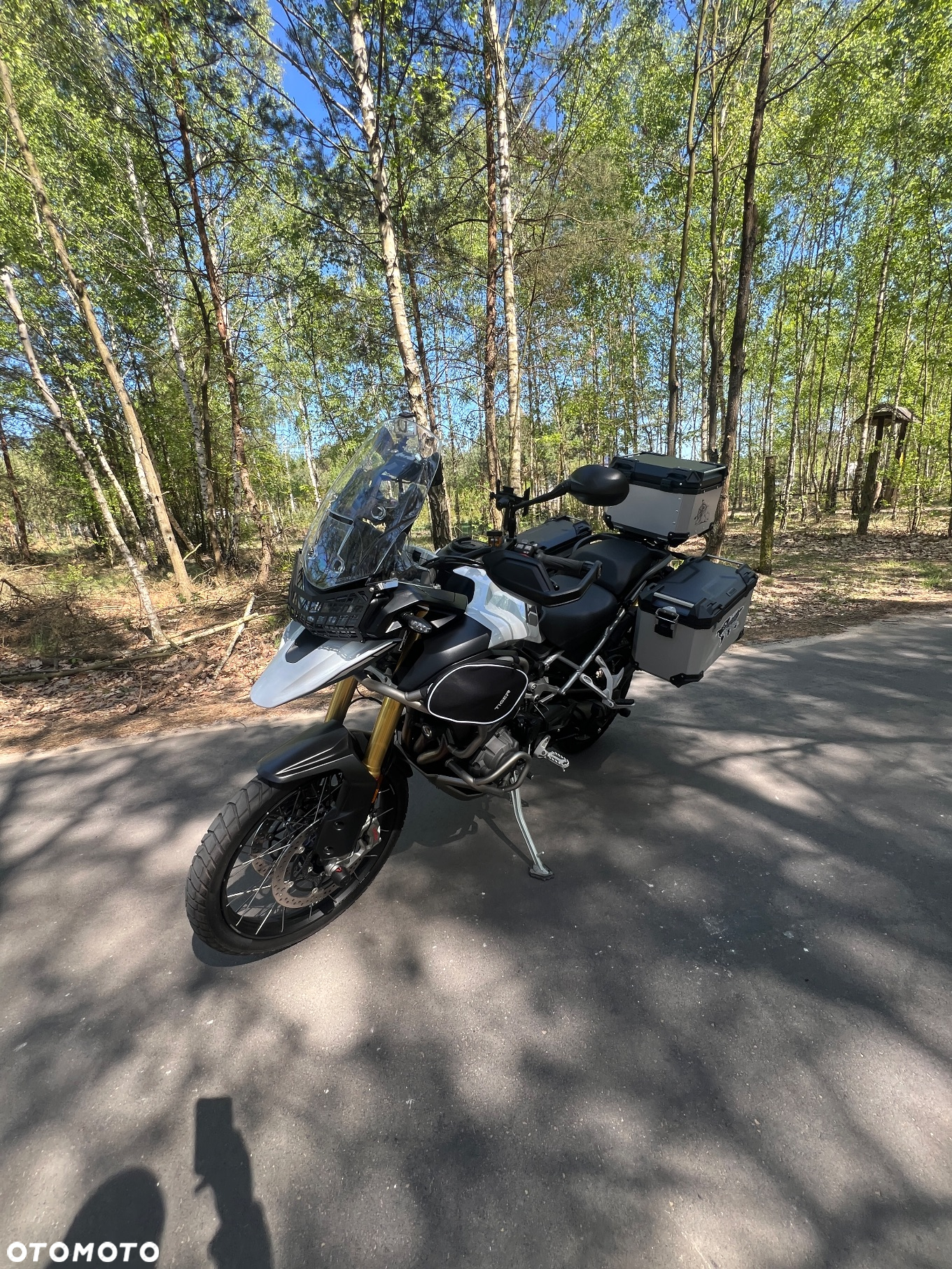 Triumph Tiger - 19