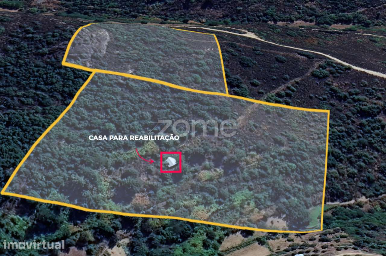 Quinta de ~3ha com duas moradias para reconstrução total - Grande imagem: 2/8