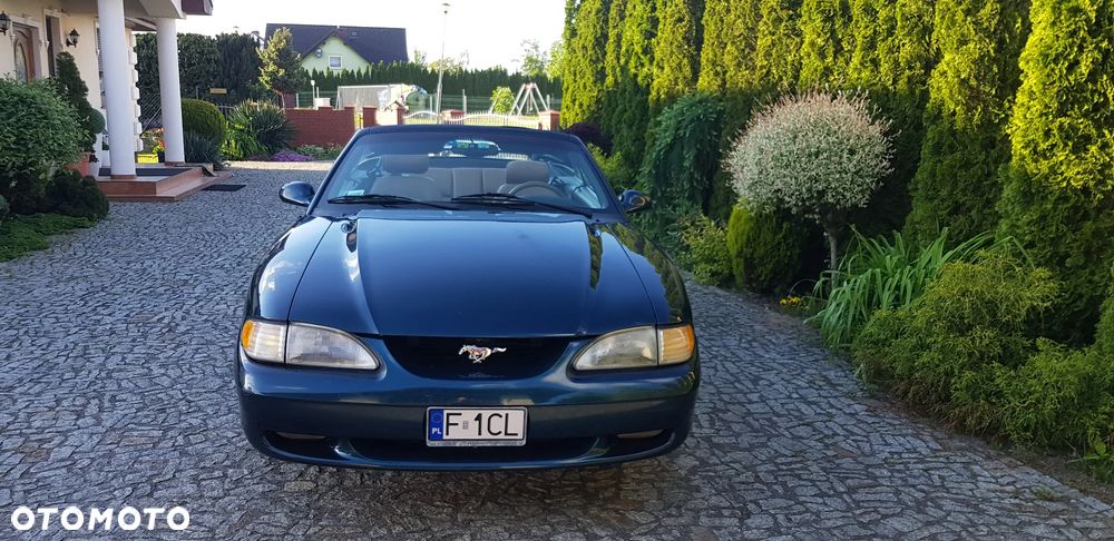 Ford Mustang - 14