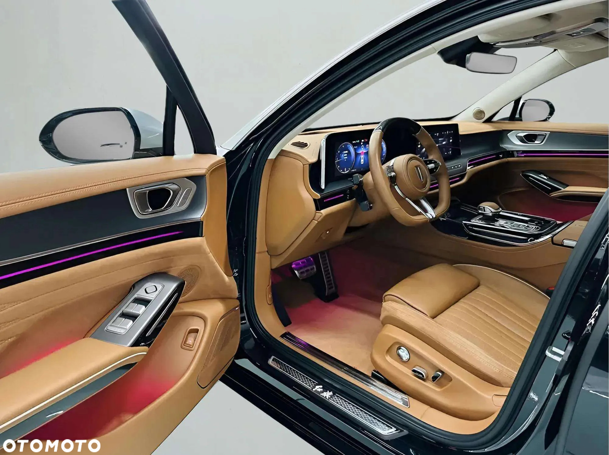 Hongqi H9 Standard - 18
