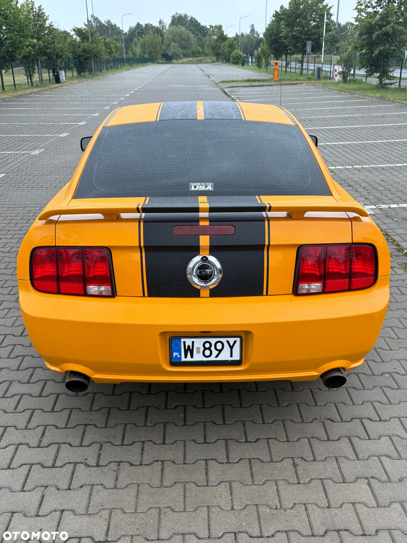 Ford Mustang - 5