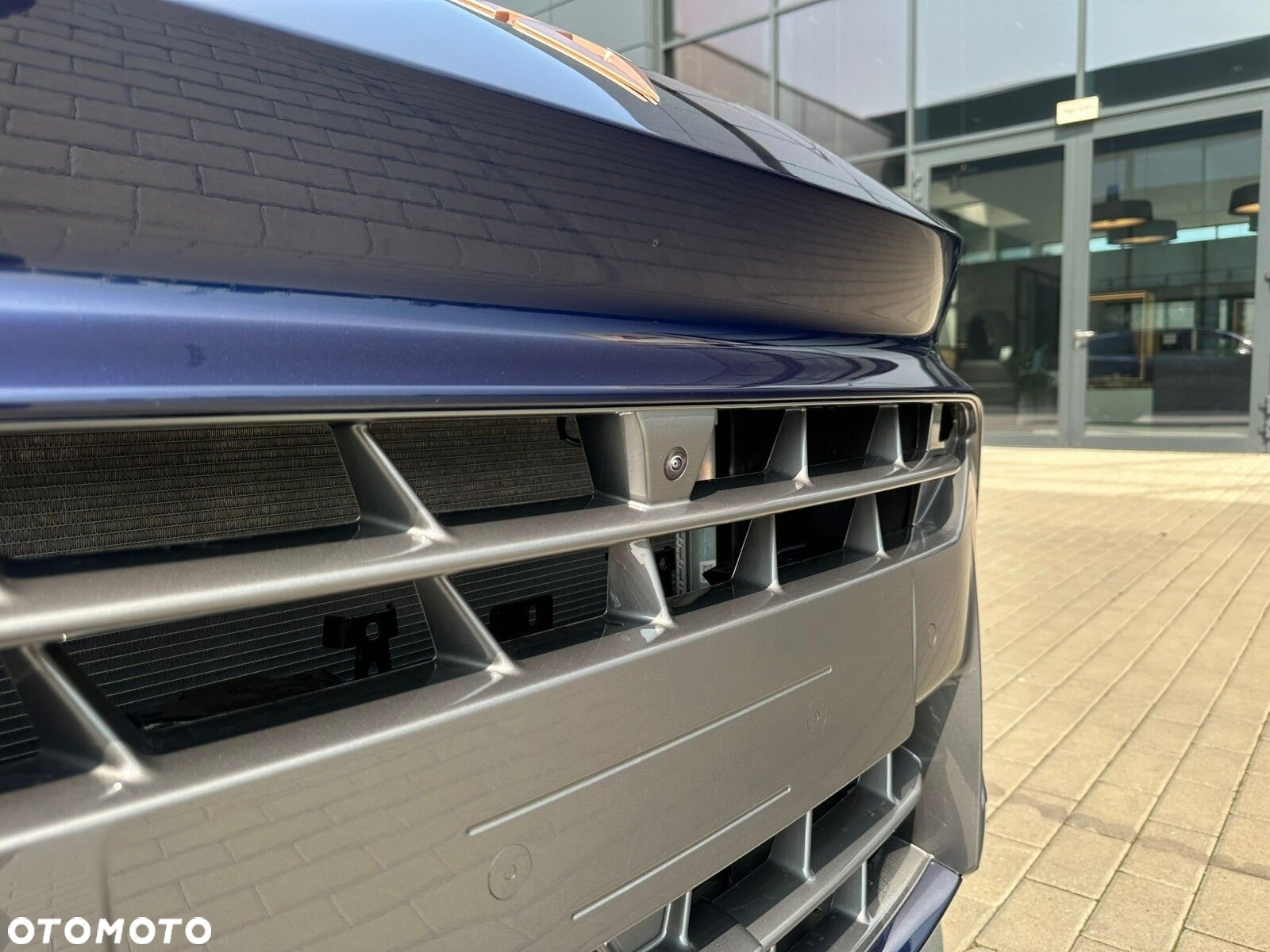 Cupra Terramar - 4