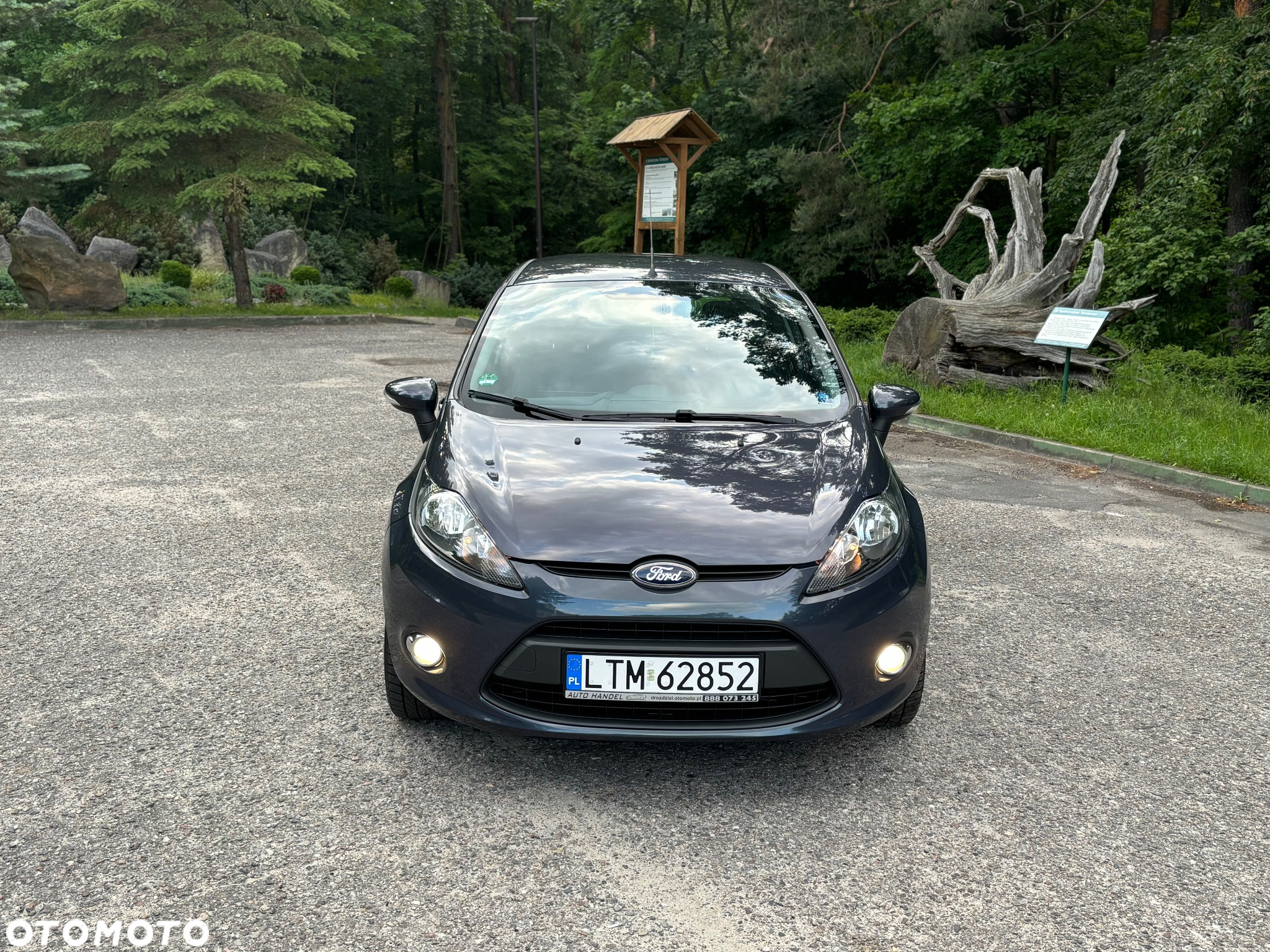 Ford Fiesta - 3
