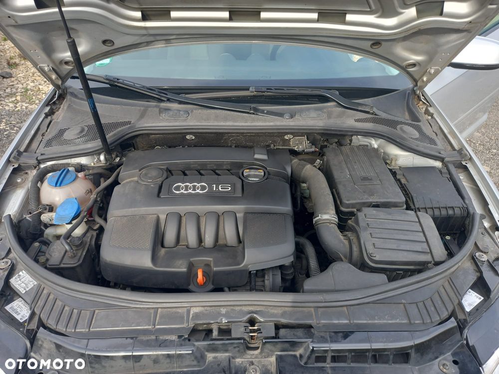 Audi A3 3-drzwiowe 1.6 Ambiente - 12