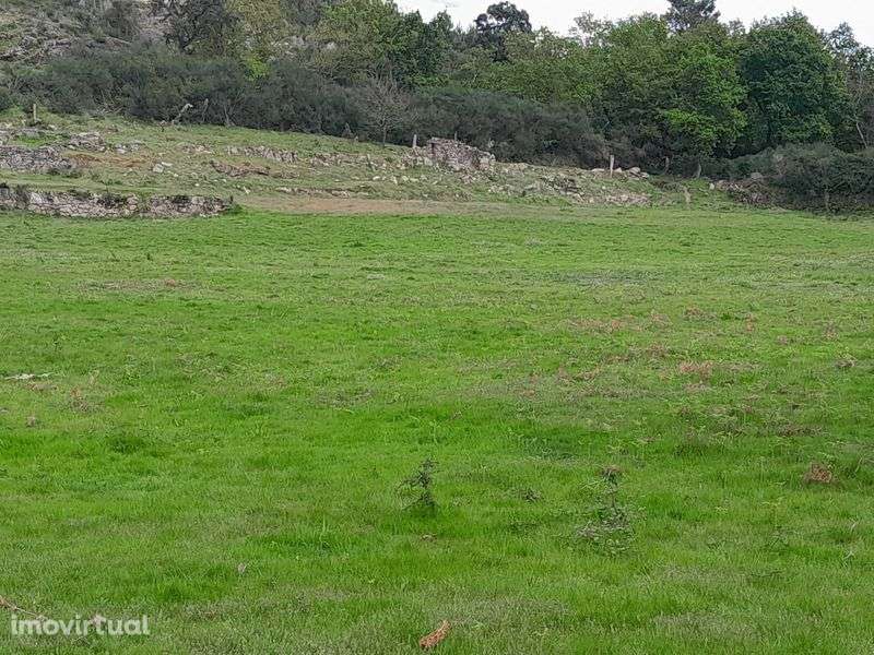 Quinta de 3 hectares em localização espectacular - Grande imagem: 4/8
