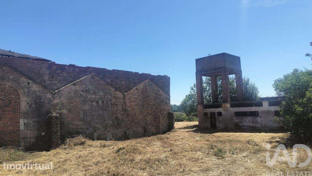 Hangar em Canas de Santa Maria de 6939,00 m2 - Grande imagem: 5/5