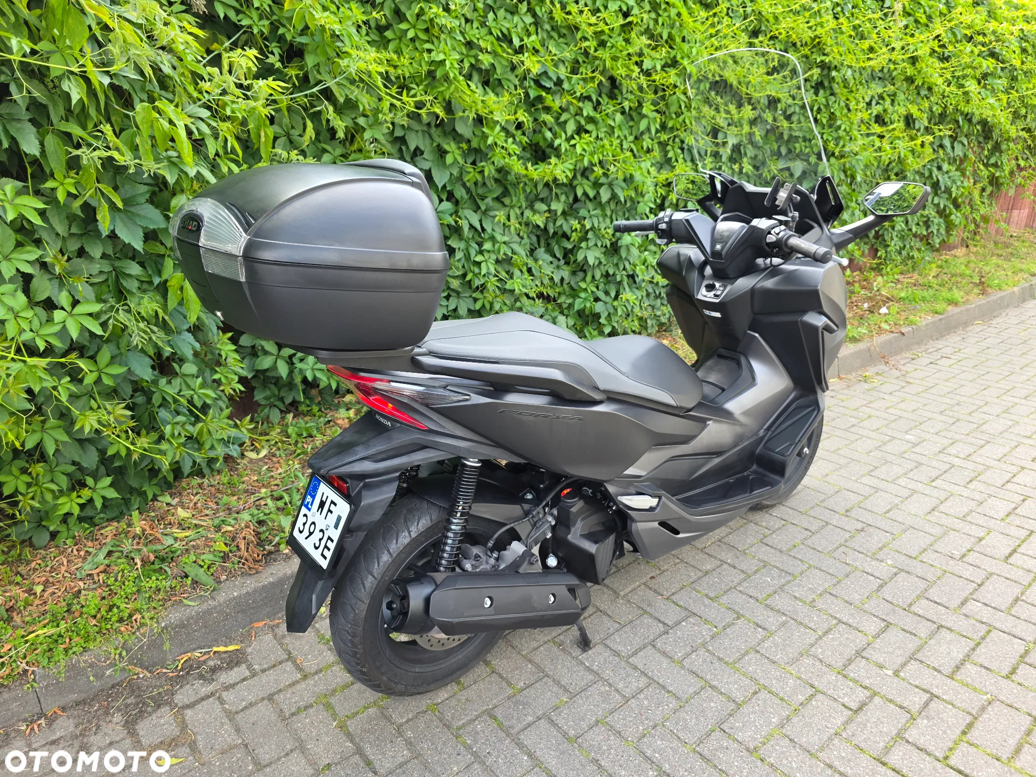 Honda Inny - 8