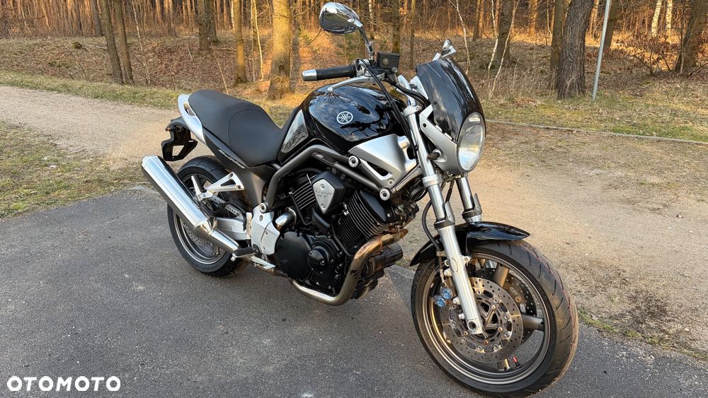 Yamaha Bulldog - 2