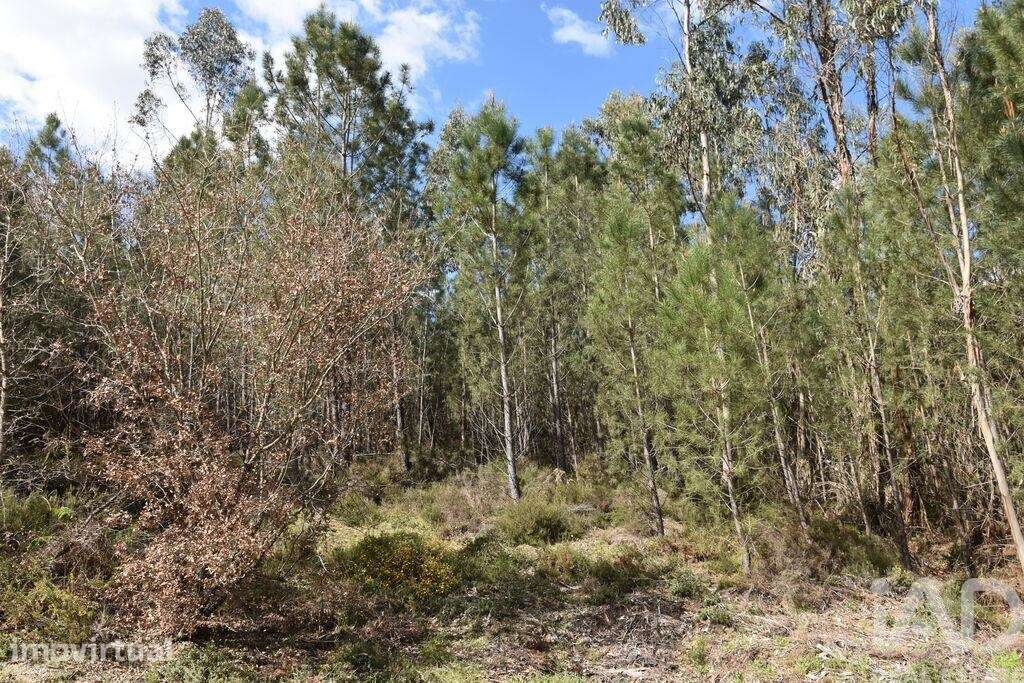 Terreno em Rio de Couros e Casal dos Bernardos de 3487,00 m2 - Grande imagem: 3/18