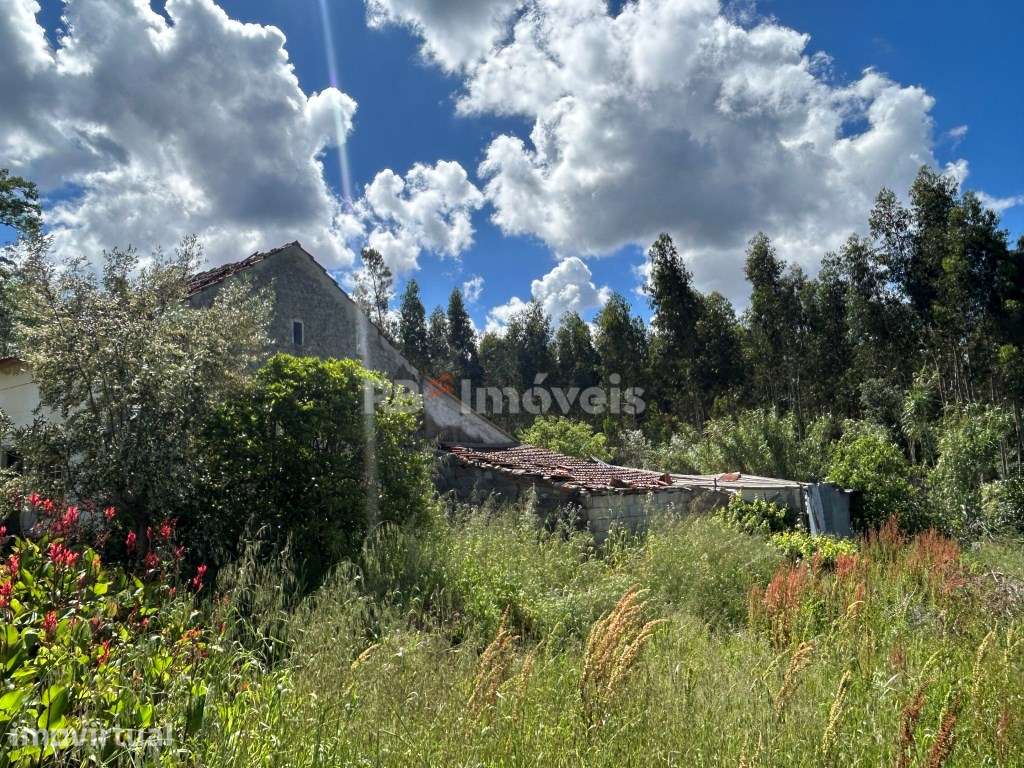 Casa para recuperar com terreno - Telhadas, Ferreira do Zêzere - Grande imagem: 5/32
