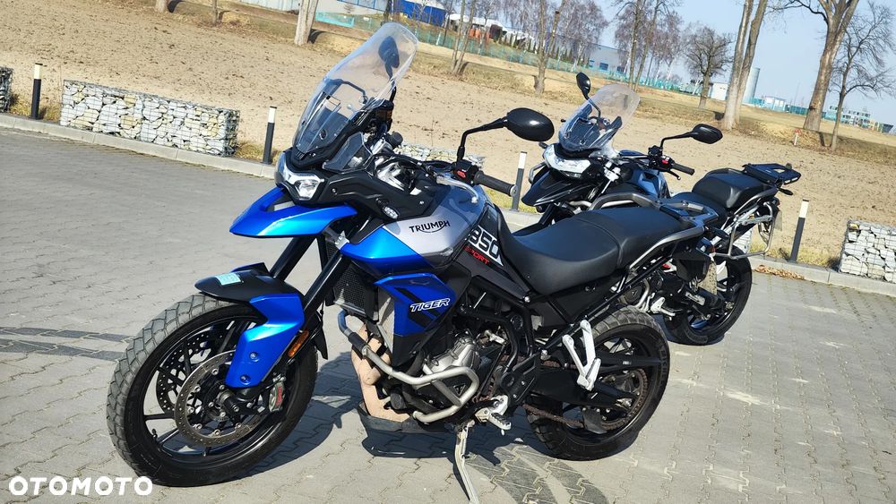 Triumph Tiger - 1